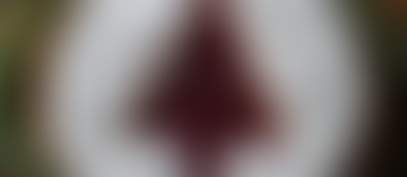 Elevate Your Holiday Table with Cheese this Holiday Season