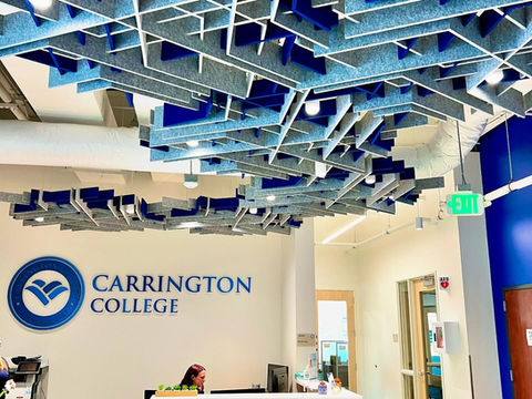 Carrington College Idaho