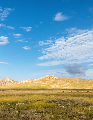 AdobeStock_289612374.jpeg