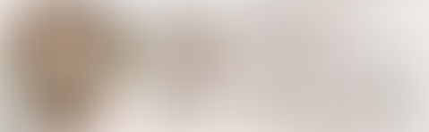 TAVOLA ROTONDA DELL'ASSOCIAZIONE "GIANO MELCHISEDEK"