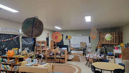 20260209_122858.jpg