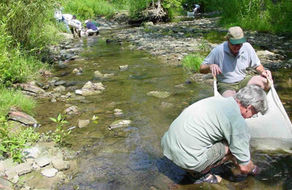 Evaluating Stream Stewardship Activities in the Cuyahoga River Watershed