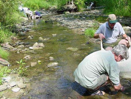 Evaluating Stream Stewardship Activities in the Cuyahoga River Watershed