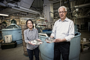 Urban Aquaculture of Marine Fishes