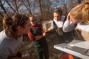 Evaluation of Allegheny College’s Center for Economic and Environmental Development Program (CEED)