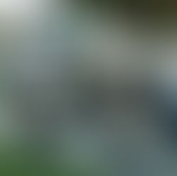 Dog Days Celebration Concert 8-15-26