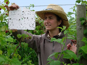 The Integrated Pest Management Institute of North America