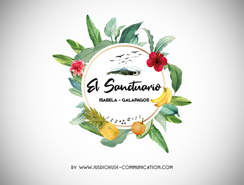 Brand-designer-branding-creation-logo-graphiste-jusdicieuse-communication-douai-lille-arras-valenciennes-gîte