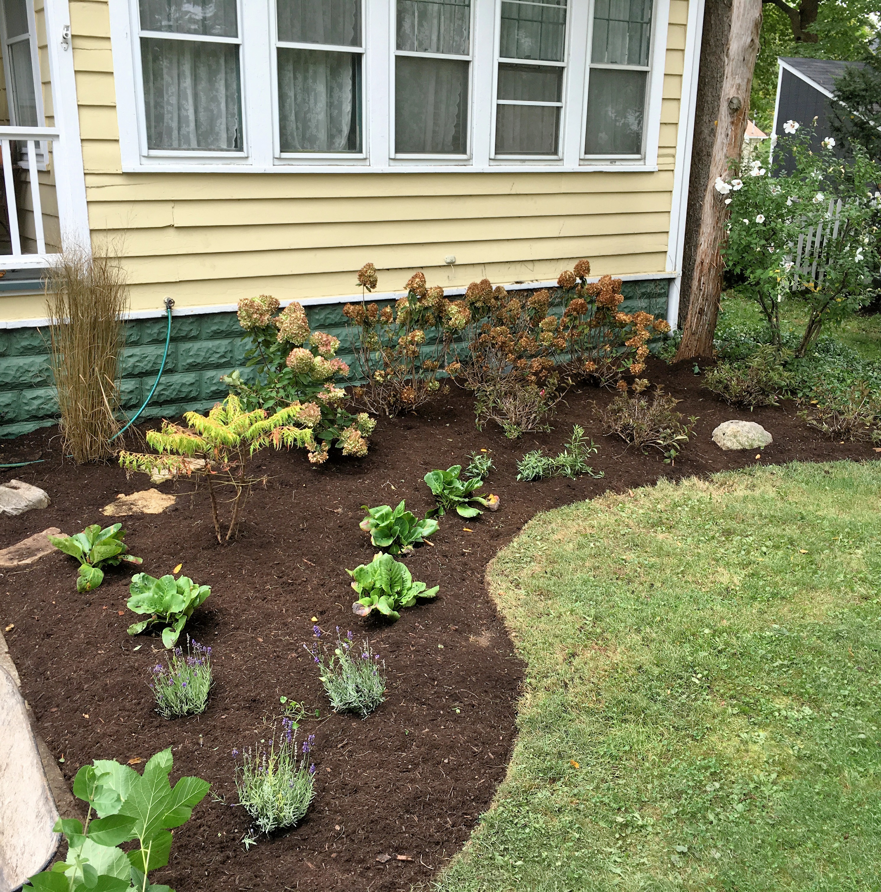 Front Yard Design & Plantings