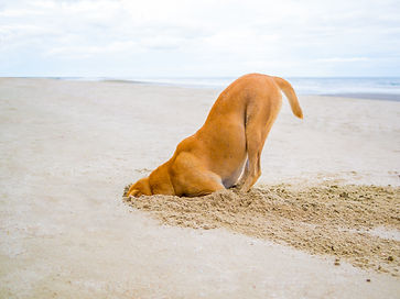 AdobeStock_118097329.jpeg