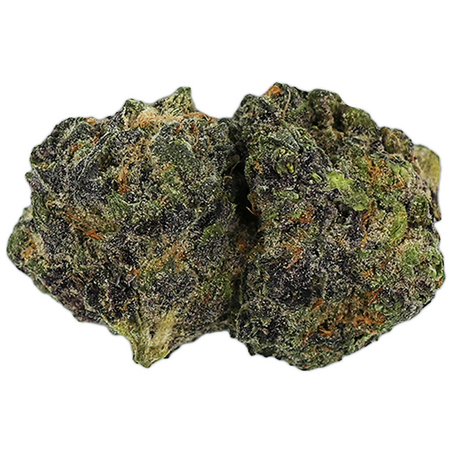 PURPLE OG π₯