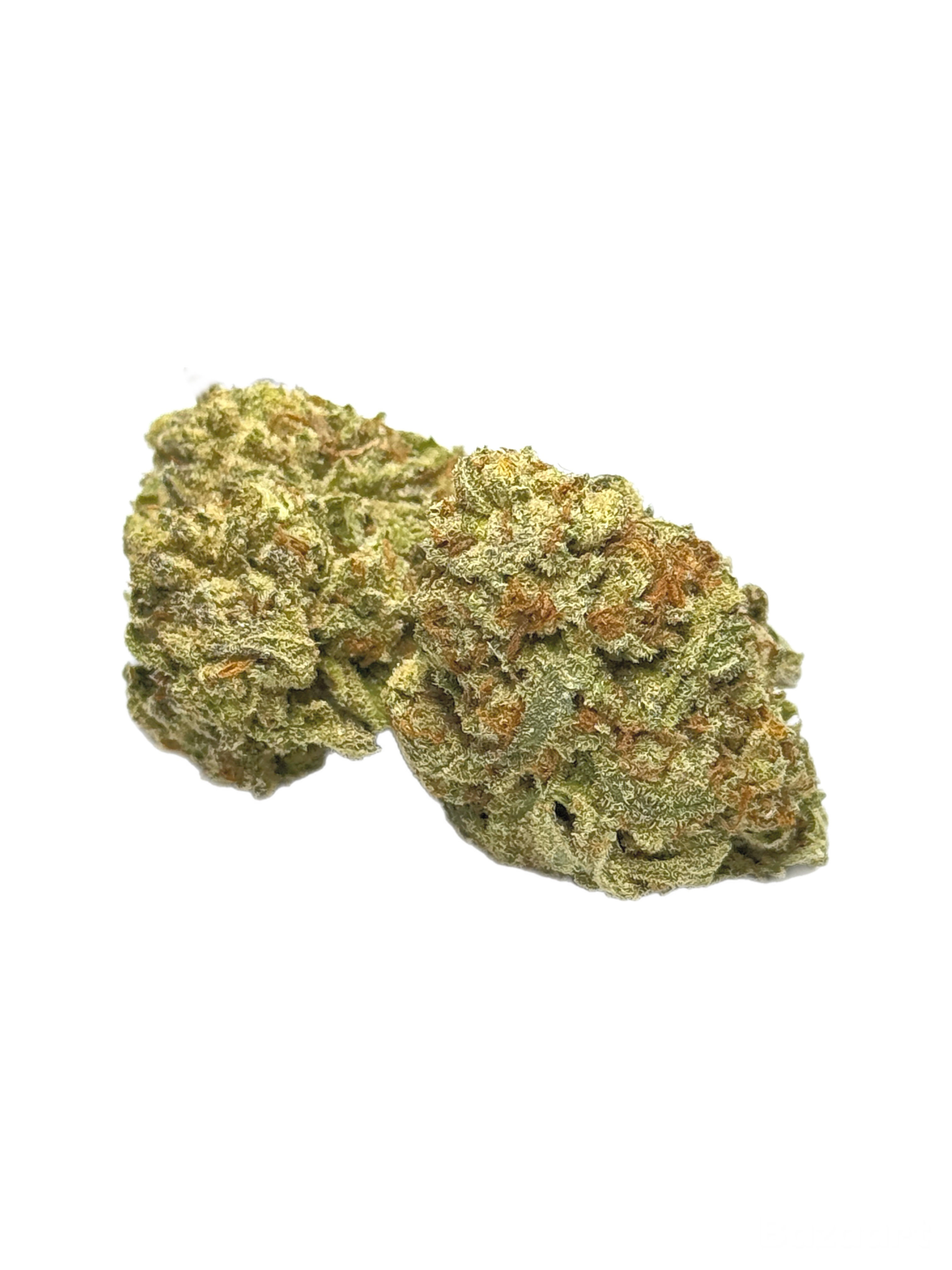 BLUE COMA 💨 