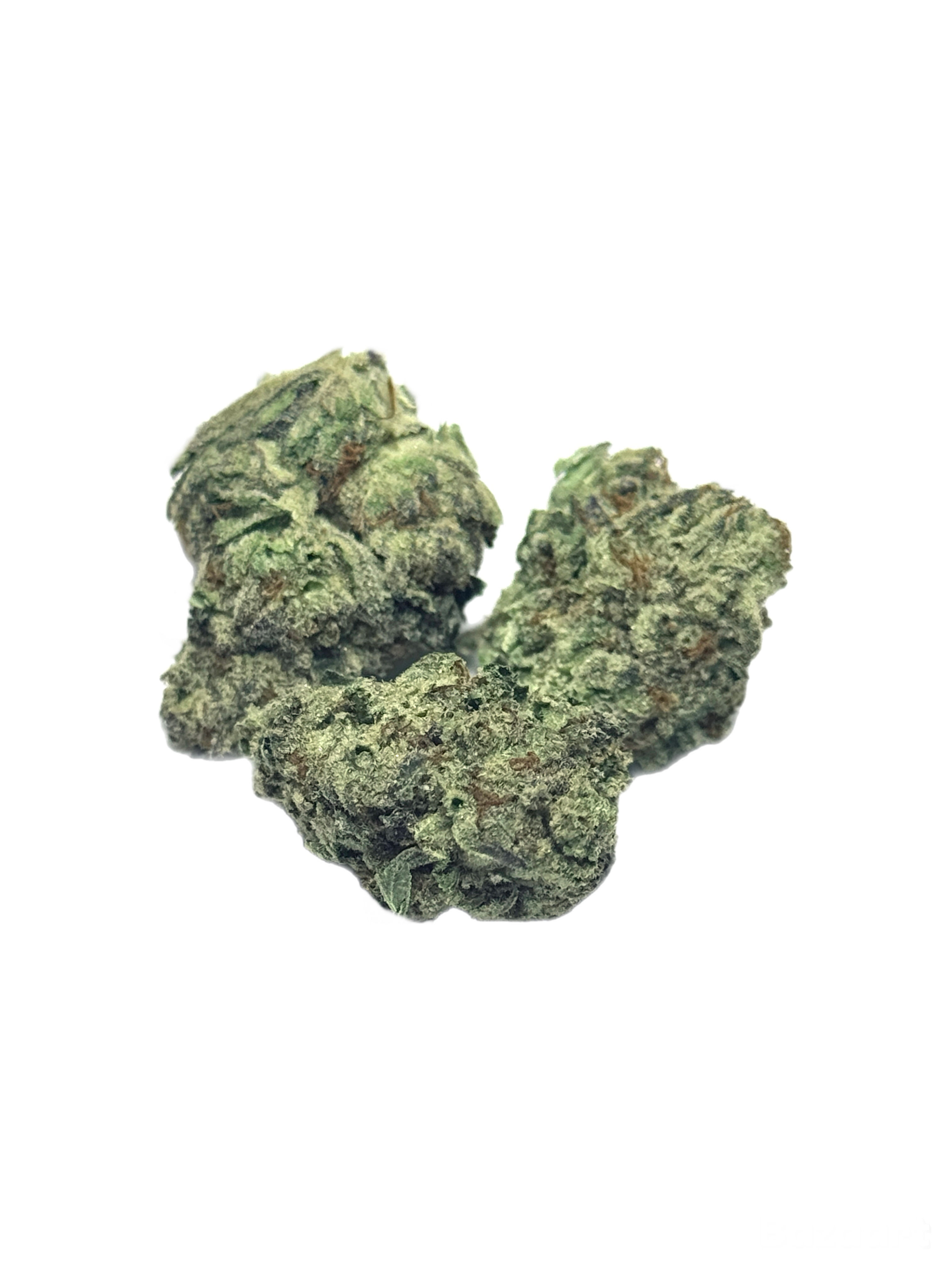 PURPLE PUNCH 👊