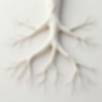 White branch sculpture for holistic trauma-informed care