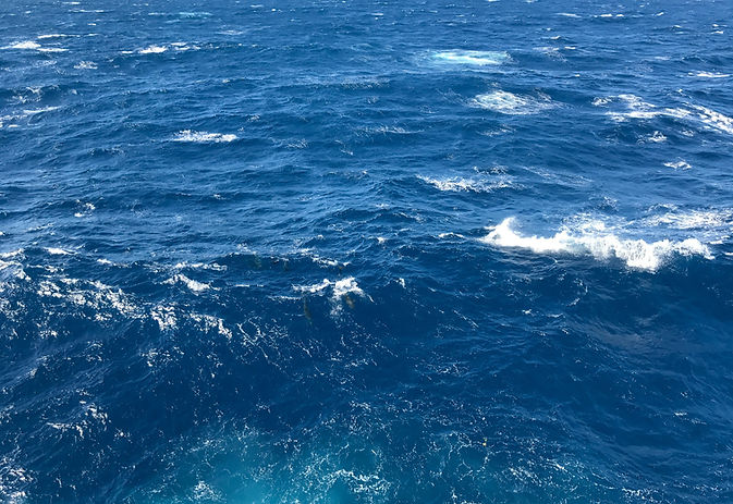 Choppy-GoM_DONG_IMG3553.jpg
