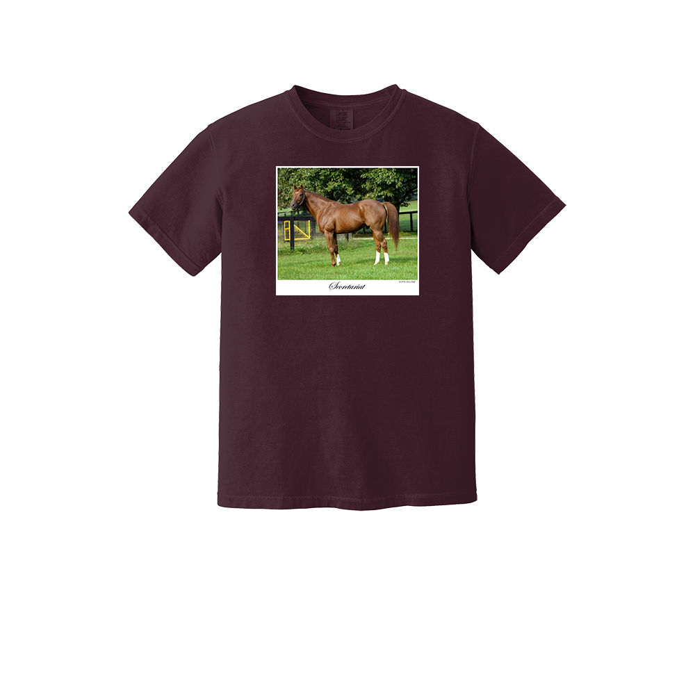 Secretariat T-shirt