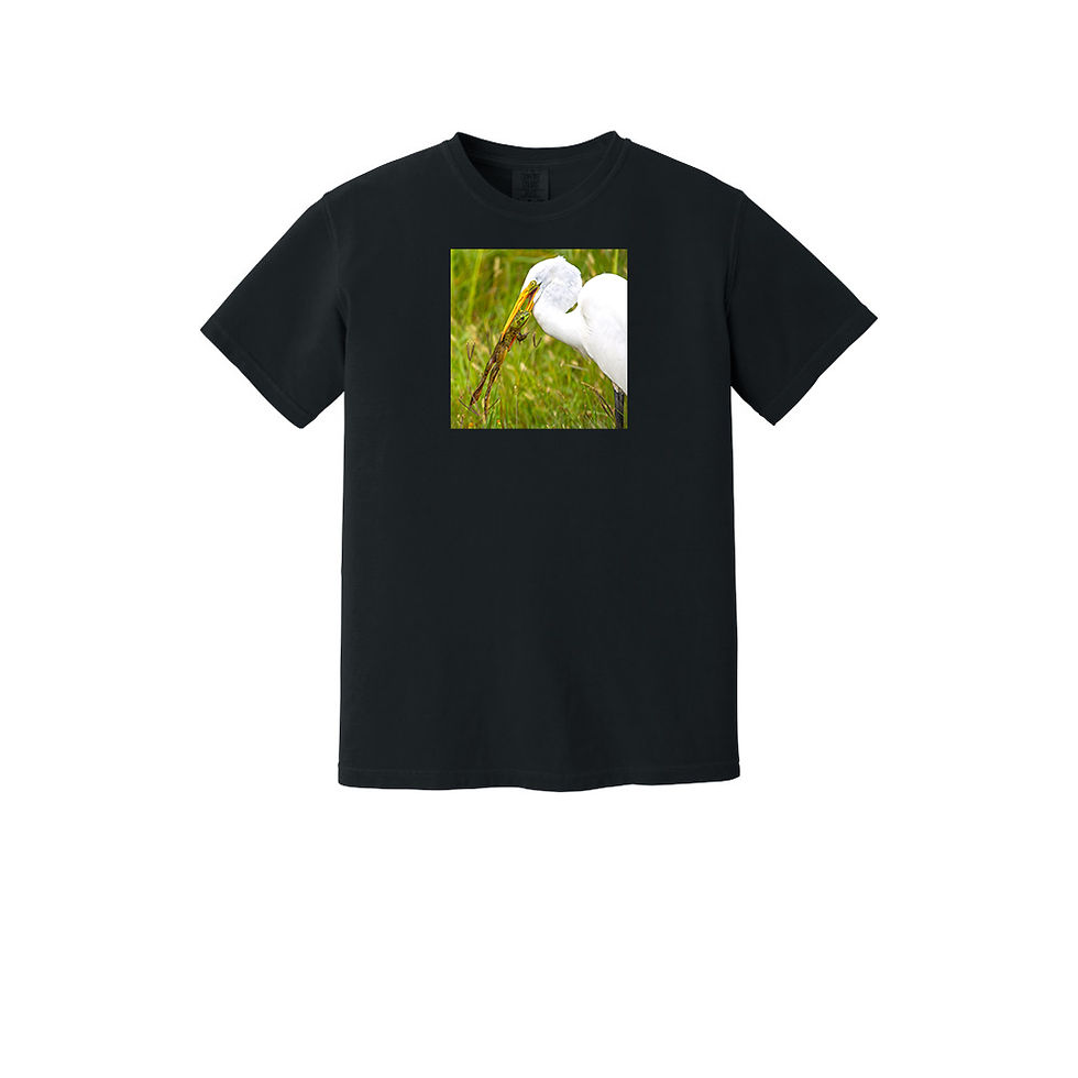 Thumbnail: Great White Egret
