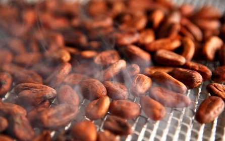 Schokoladendenproduktion in 8 einfachen Schritten
