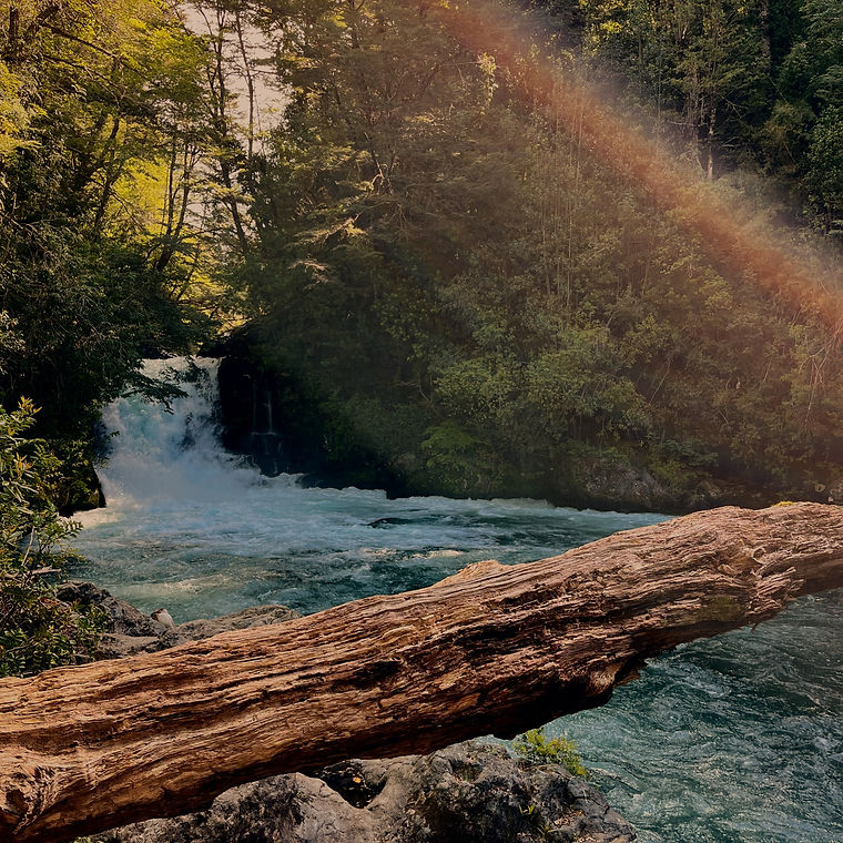 IMG_2779 (1)_edited.jpg