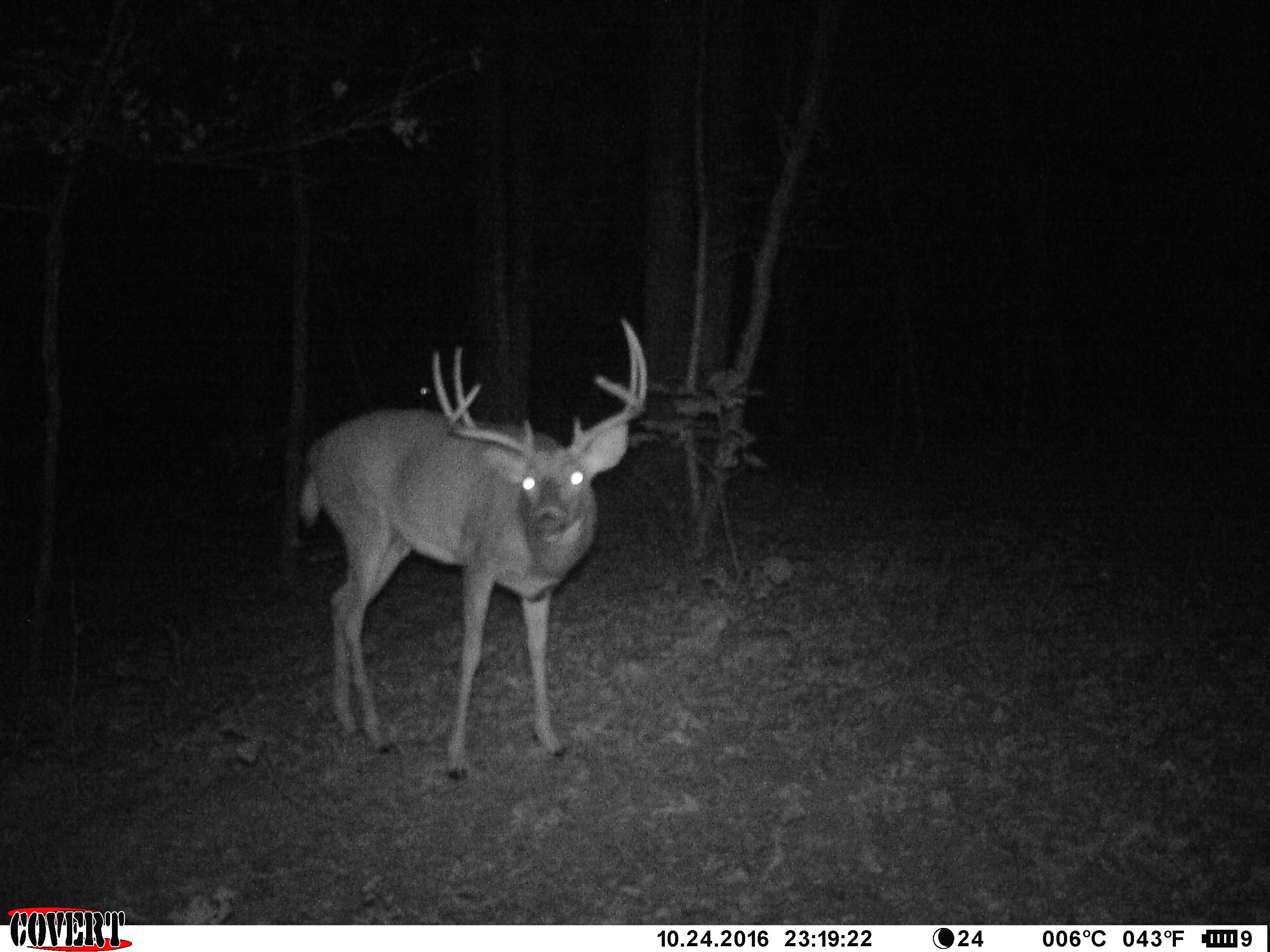 Deer Valley Cam - easuzqn