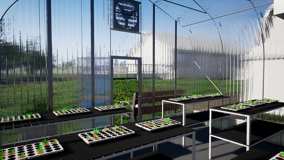 Interior of Greenhouse