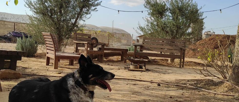מתחם החאן, אוהל לינה ואירועים
