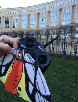 538689760_4936273523263707_4803589697427119492_n