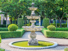 Book review of “The Fountain, find your place” by Els van Steijn