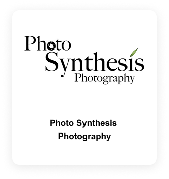 Photo-Synthesis-Photography.png
