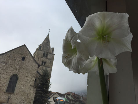 En face de la très belle église!