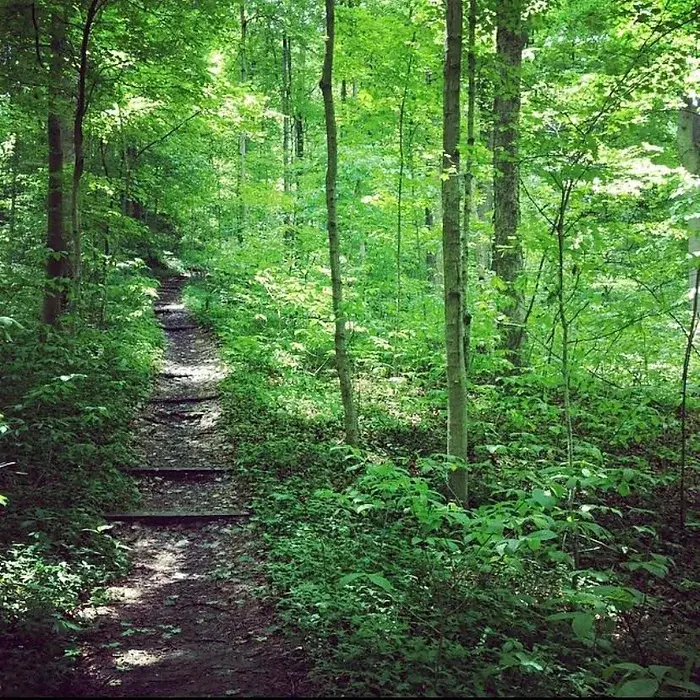 Connecting to Ourselves Outdoors