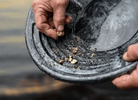 Going Through the Motions