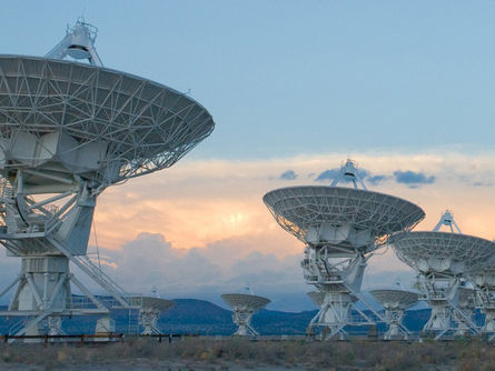 Contact and the Pursuit of Truth