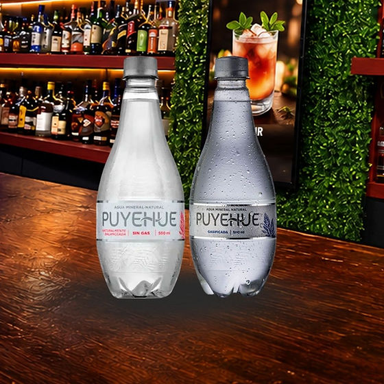 Água Mineral Puyehue 500ml.