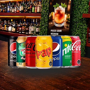 Bebidas Lata 350cc.