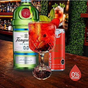 Gin Verano S/A
