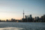 pexels-andre-furtado-43594-800694.jpg