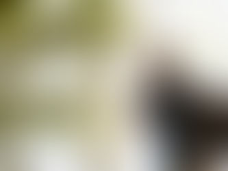 Joven con mochila negra sale por puerta de vidrio. Fondo con plantas y luz natural. Ambiente luminoso y tranquilo.