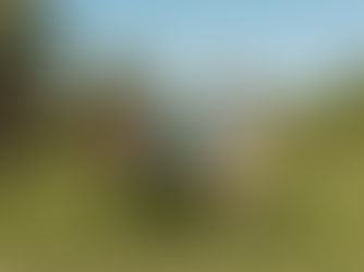 Three friends walk on a sunny campus lawn, smiling. They're carrying books and backpacks. Trees and a building are visible in the background.