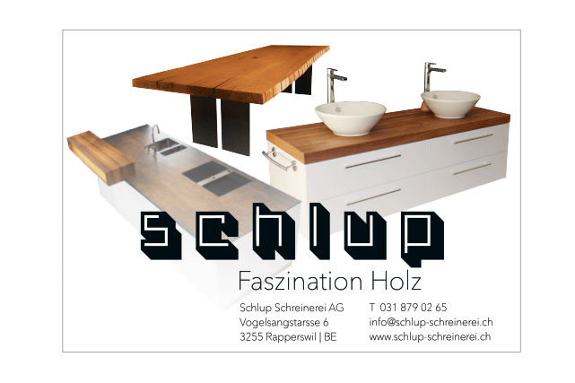 Projekte_schlup_Inserat.gif