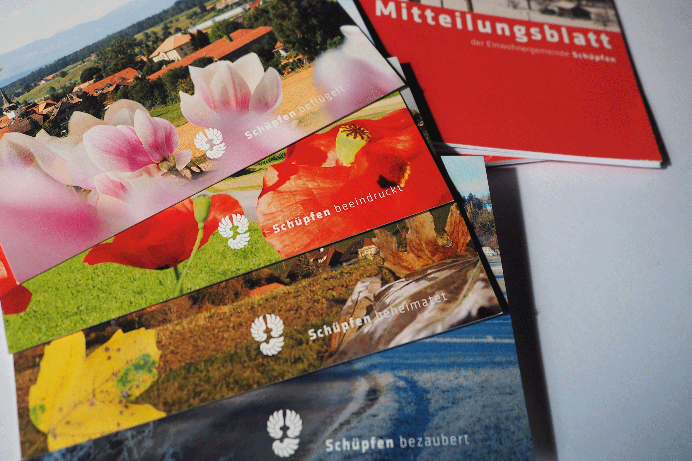 Projekte_schuepfen_Postkarten.gif