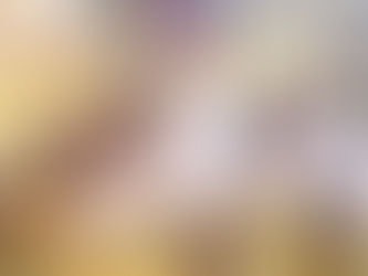 Defend the Blockhouse