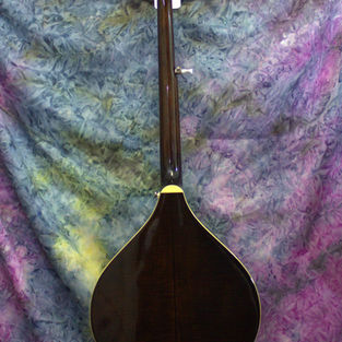 Gold Tone Banjola 2025 used banjos Gibson Ithaca Guitar Works