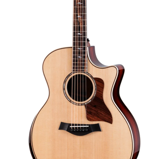 Taylor 814ce LTD Cocobolo Acoustic guitars Fender Gibson Martin PRS Ithaca Guitar Works