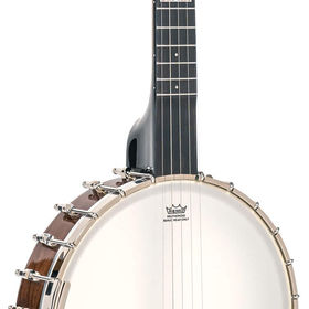 Gold Tone & Recording King | Ithaca Guitar Works