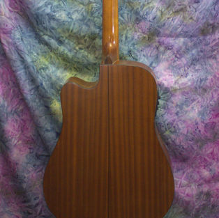 Walden D550CE 2010 used acoustic guitars Fender Martin Taylor Ithaca Guitar Works