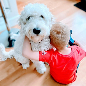 kinderen dieren jongeren ouderen opa oma papa mama ouders
