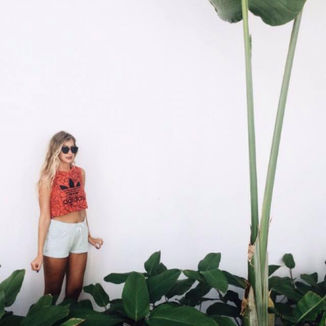 אמרנו שנדבר פה על הכל