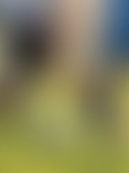 Analyzing the Most Popular Sports in America: NFL Dominance and the Rapid Rise of Pickleball