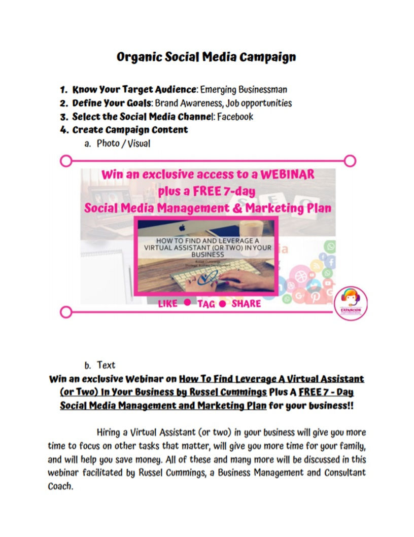 Organic Social Media Campaign (page 1)